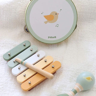 Wooden musical instrument set - birds