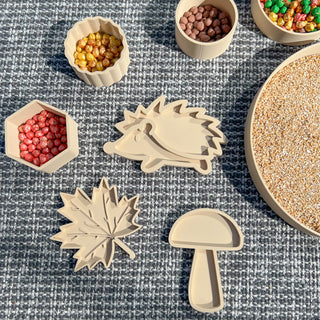 Autumn eco sensory tray set- leaf, mushroom, hedgehog
