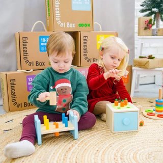 Educational toy set 13-18 months, Montessori toy set