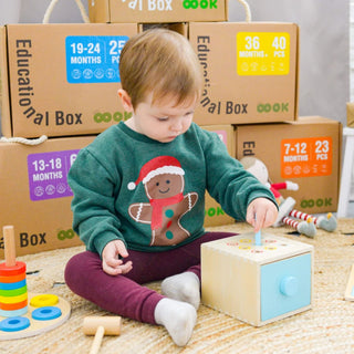 Educational toy set 13-18 months, Montessori toy set