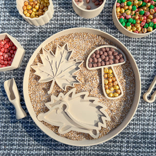 Autumn eco sensory tray set- leaf, mushroom, hedgehog