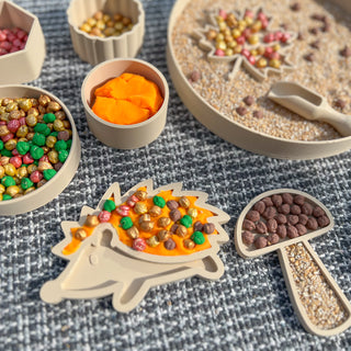 Autumn eco sensory tray set- leaf, mushroom, hedgehog
