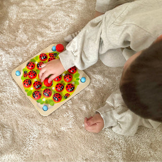 Wooden memory game for kids Ladybug with 10 picture inserts, educational game