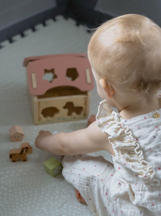 Barn sorter- wooden shape sorting farm
