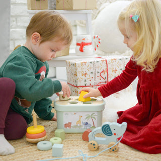 3 in 1 attīstošo koka rotaļlietu komplekts, dāvanu komplekts no 1 gada- figūru sortieris, piramīda un velkamā rotaļlieta