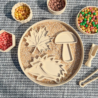 Autumn eco sensory tray set- leaf, mushroom, hedgehog