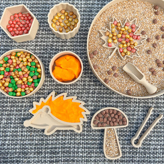 Autumn eco sensory tray set- leaf, mushroom, hedgehog