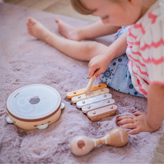 Koka mūzikas instrumentu komplekts bērniem maigos toņos ar ezīti