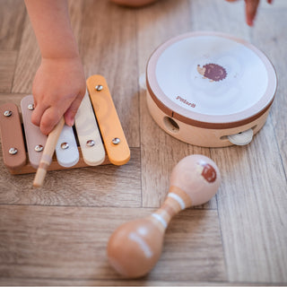 Koka mūzikas instrumentu komplekts bērniem maigos toņos ar ezīti