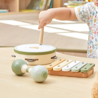Wooden musical instrument set - birds