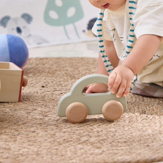 Attīstošo rotaļlietu komplekts mazuļiem 6-12 mēneši, 6in1, Grow With Me Box