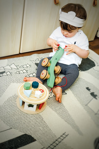 Pull toy snail, shape sorter 2 in 1