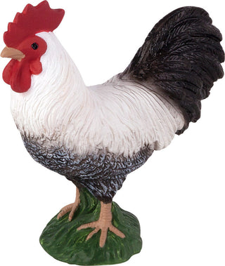Rooster Animal Planet
