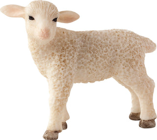 Lamb Animal Planet